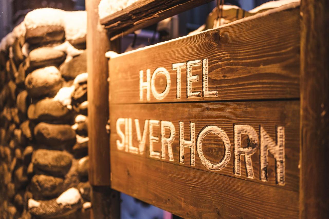 Hotel Silverhorn Myoko Exterior photo